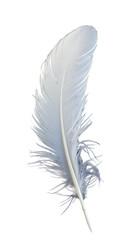 Obraz premium elegant white feather isolated on white background