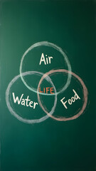 Life essentials Venn diagram on school chalkboard. Air, water, food circles intersect in 12K detail.