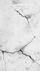 Cracked Surface Texture: A monochromatic view of a weathered wall reveals a web of fissures, revealing age and a history of wear. These fractures create intriguing abstract patterns.