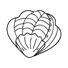 seashell icon, seashell line art - simple line art of seashell, perfect for seashell logos and icons