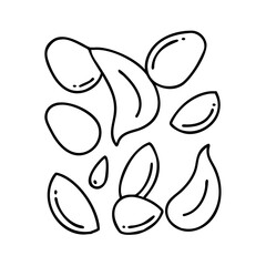 seeds icon, seeds line art - simple line art of seeds, perfect for seeds logos and icons