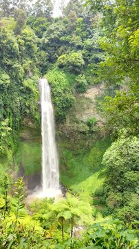 Footage of Curug Cimahi or Cimahi Waterfall, West Bandung, Indonesia, surrounded by trees and green grass.