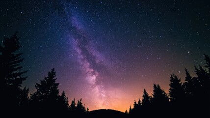 Naklejka premium Milky Way Galaxy Over Silhouetted Pine Forest at Night