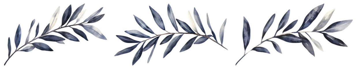 Obraz premium PNG Elegant watercolor olive branches, element set on transparent background