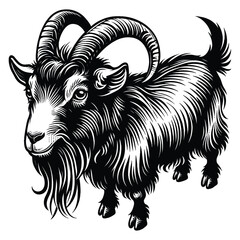 goat on a white background