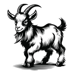 black and white goat