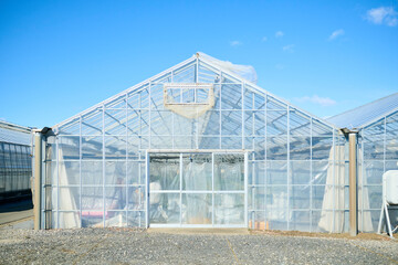 郊外に立つ農園のビニールハウス