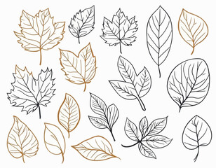 Elegant Autumn Leaves Collection Botanical Line Art Design for Fall Projects