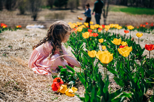 irl sitting in tulip field with basket of red and yellow flowers