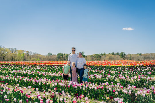 Family posing in tulip field under clear blue spring sky