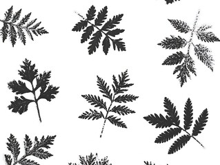 Delicate fern fronds in monochrome print create a fresh, botanical aesthetic