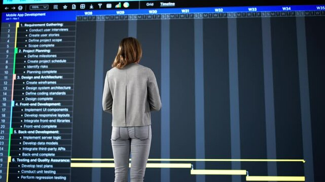 Gantt Gantt Software Project