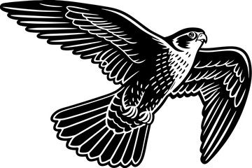High-quality birds vector illustration featuring a variety of bird species in different styles—perfect for nature-themed designs, educational materials, wildlife branding, greeting cards, posters, and