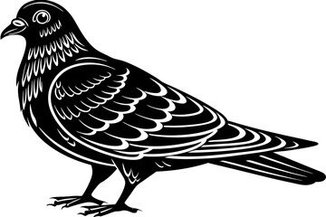 High-quality birds vector illustration featuring a variety of bird species in different styles—perfect for nature-themed designs, educational materials, wildlife branding, greeting cards, posters, and