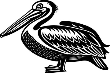 High-quality birds vector illustration featuring a variety of bird species in different styles—perfect for nature-themed designs, educational materials, wildlife branding, greeting cards, posters, and