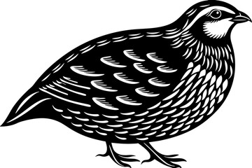 High-quality birds vector illustration featuring a variety of bird species in different styles—perfect for nature-themed designs, educational materials, wildlife branding, greeting cards, posters, and