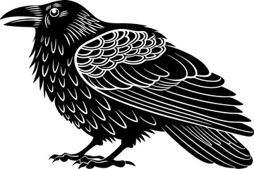 High-quality birds vector illustration featuring a variety of bird species in different styles—perfect for nature-themed designs, educational materials, wildlife branding, greeting cards, posters, and