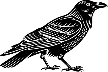 High-quality birds vector illustration featuring a variety of bird species in different styles—perfect for nature-themed designs, educational materials, wildlife branding, greeting cards, posters, and
