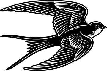 High-quality birds vector illustration featuring a variety of bird species in different styles—perfect for nature-themed designs, educational materials, wildlife branding, greeting cards, posters, and