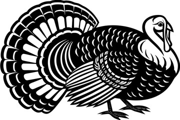 High-quality birds vector illustration featuring a variety of bird species in different styles—perfect for nature-themed designs, educational materials, wildlife branding, greeting cards, posters, and