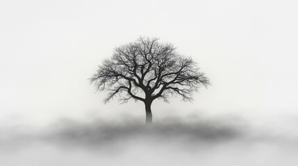 Obraz premium Solitary tree in foggy landscape with bare branches. Halloween, All Hallows Eve, Samhain - Spooky Holiday Season, Fall Festival Celebration
