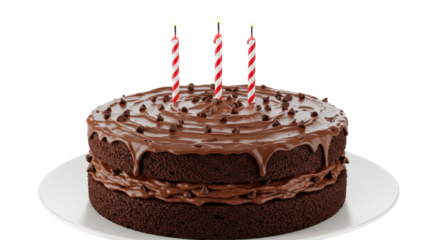 Isolated Chocolate Birthday Cake with Candles