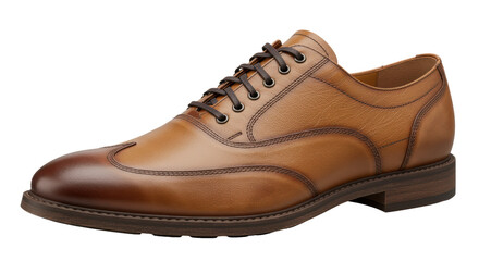 Isolated Brown Leather Shoe