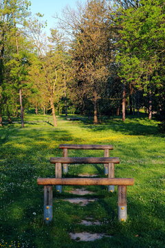 Alba in un parco cittadino