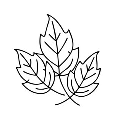 fall leaves icon, fall leaves vector illustration-simple illustration of fall leaves, perfect for fall leaves logos and icons