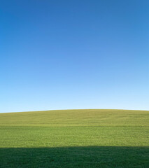 Obraz premium Field with short grass, dark shadow in foreground. Green hill and clean sky without clouds in the afternoon.