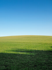 Fototapeta premium Field with short grass, dark shadows in foreground. Green hill and clean daytime sky without clouds.
