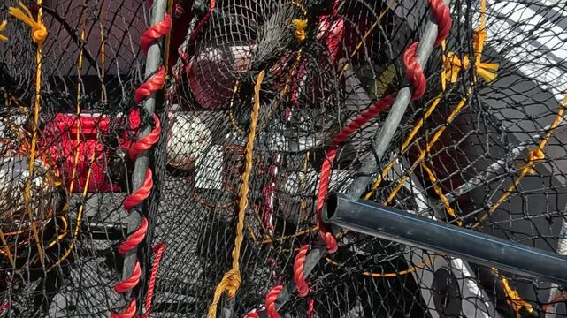 Fishing Trip with Crab Traps