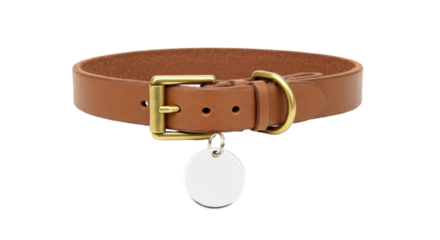 Isolated Dog Collar