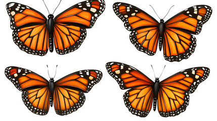 4 monarch butterflies flying clip art, isolated on a Transparent background PNG