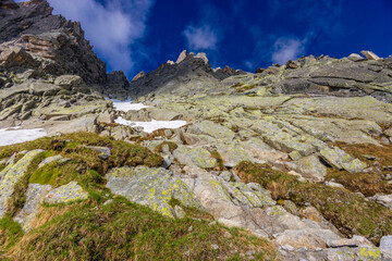 Chamonix Montblanc beautiful alpine mountain summits landscape. Alps mountains with snow and glacier above green valley of Chamonix in France. Alps beautiful scenery in summer