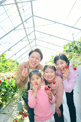 農園でいちご狩りを楽しむ4人家族