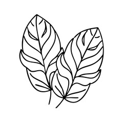 tropicalleaves icon, tropicalleaves line art - simple line art of tropicalleaves, perfect for tropicalleaves logos and icons