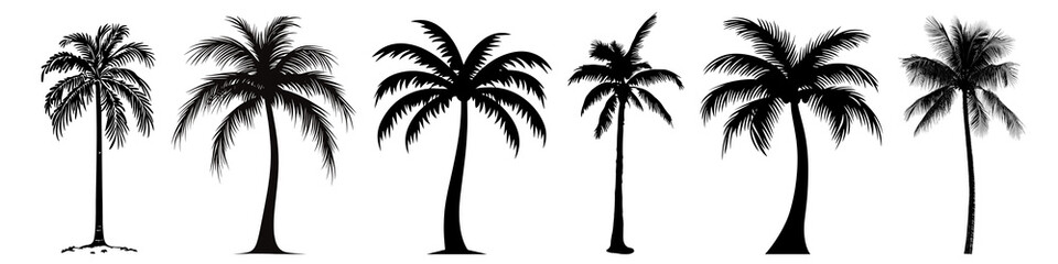PNG Silhouetted palm tree illustrations, element set on transparent background