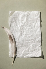 Monochrome background with a blank sheet of paper and a feather. Top view, minimal style, space for text.
