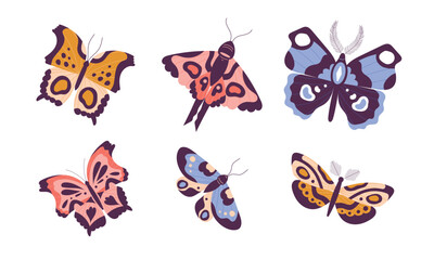 Butterflies Fluttering with Wings and Floral Twigs Vector Set