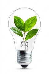 Green plant growing inside light bulb symbolizing eco energy and sustainability