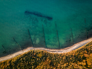 A breathtaking top-down shot capturing the natural patterns of a rugged shoreline, clear waters, and autumn foliage. A perfect harmony of textures and colors of Rugen Island, northern Germany.