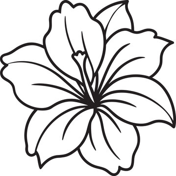 recommend clip art: hibiscus flower line art vector