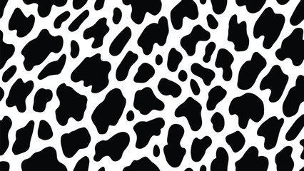 Vector cow print pattern background. Black irregular patches on white backdrop. Abstract cows skin texture illustration. Hand drawn design. Farm animal print