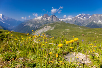 Fototapeta premium Mont Blanc, Monte Bianco mountain summit snow dome above the Chamonix valley in France. Highest peak in Europe in the Alps, alpine scenic view of Montblanc