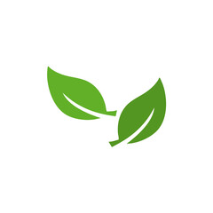 Fototapeta premium Happy earth day. Ecology concept with leaves 