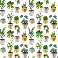 Seamless pattern indoor plants. Watercolor illustration. White background. For design, backgrounds