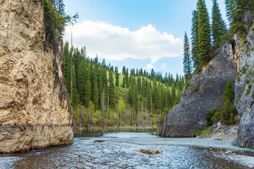 spring with drinking water in the mountains of kazakhstan. clean melt water in the reservoir almaty