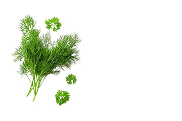 Fototapeta premium Fresh green herbs featuring vibrant fronds and delicate leaves, showcasing their natural texture and color.