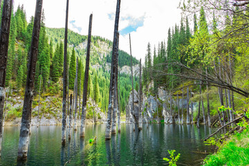 Obraz premium Lake Kaindy in the mountains Almaty. Frozen pines in icy water Kazakhstan. Tree trunks in the lake